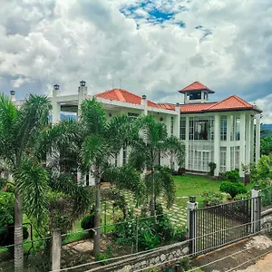 The Grove Homestay